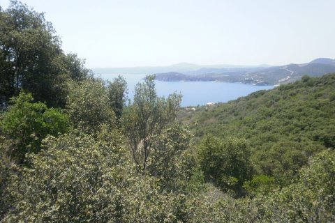 6070m² Land en Chalkidiki, Greece No. 56347 7