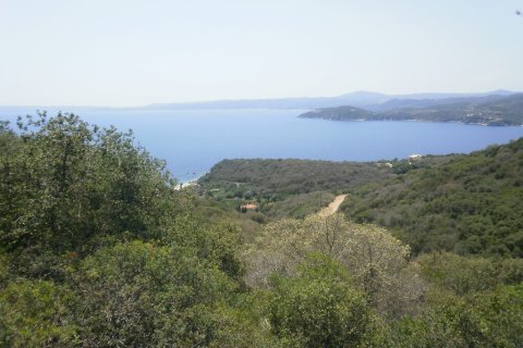 6070m² Land à Chalkidiki, Greece No. 56347 5