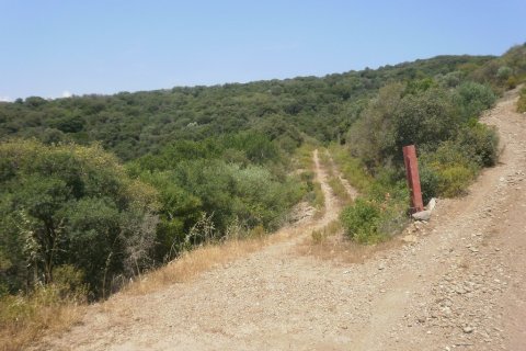 6070m² Land à Chalkidiki, Greece No. 56347 2