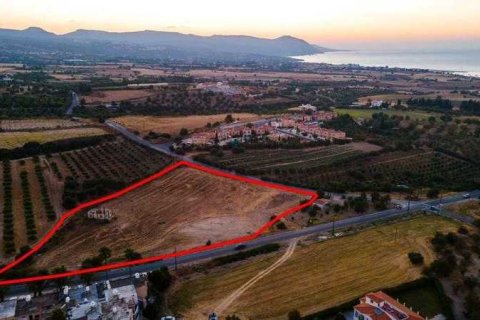 13676m² Land à Paphos, Cyprus No. 41777 4