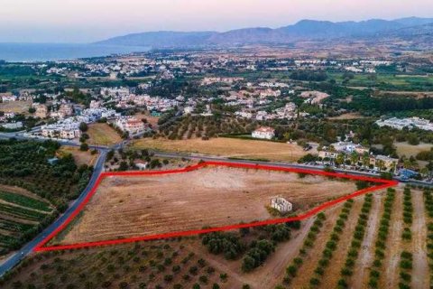 13676m² Land à Paphos, Cyprus No. 41777 3