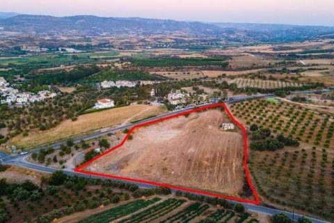 13676m² Land à Paphos, Cyprus No. 41777 2