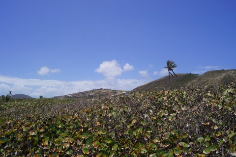 1550.55m² Land à Basseterre, Saint Kitts and Nevis No. 61490 2