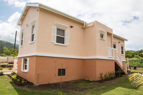 2 bedrooms Villa in Saint Peter's, Saint Kitts and Nevis No. 61488 27