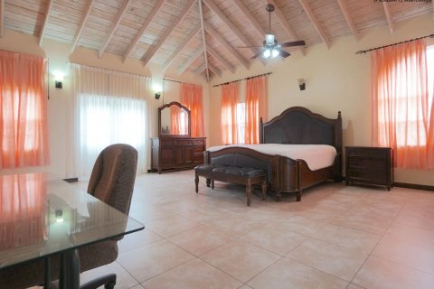 6 dormitorios Villa en Basseterre, Saint Kitts and Nevis No. 61484 6