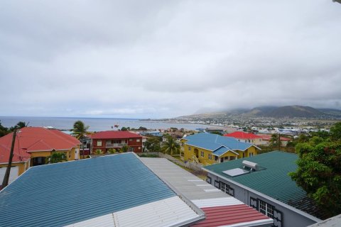 6 chambres Villa à Basseterre, Saint Kitts and Nevis No. 61484 12