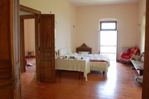 7 dormitorios House en Zagora, Greece No. 60150 29