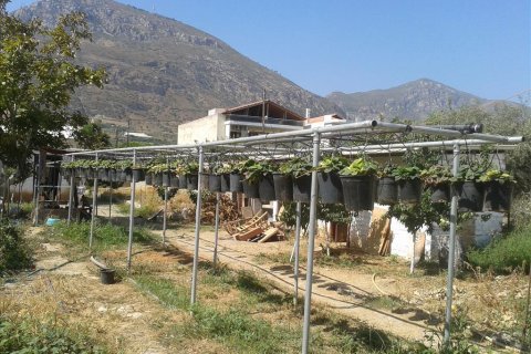 2 bedrooms House in Xylokastro, Greece No. 60152 22