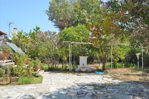 5 bedrooms Villa in Xylokastro, Greece No. 60156 8