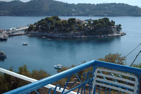 50000m² Land in Sporades, Greece No. 59991 5