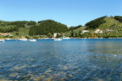 50000m² Land à Sporades, Greece No. 59991 3