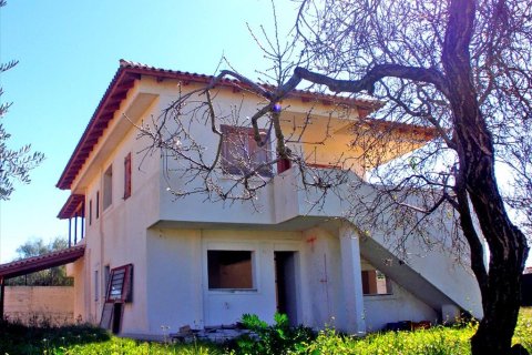 5 dormitorios House en Lavrio, Greece No. 59988 2