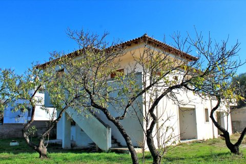 5 chambres House à Lavrio, Greece No. 59988 3