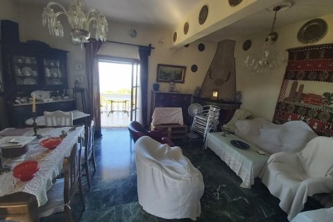 343m² House in Corfu, Greece No. 55752 24