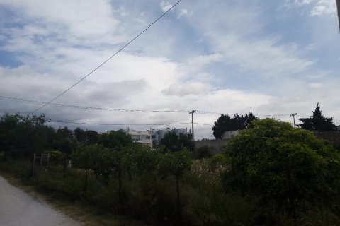 1000m² Land in Vari, Greece No. 55754 4