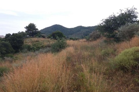 Land in Zakynthos, Greece No. 28075 18