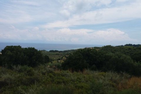 Land in Zakynthos, Greece No. 28075 15