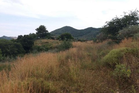 Land in Zakynthos, Greece No. 28075 8