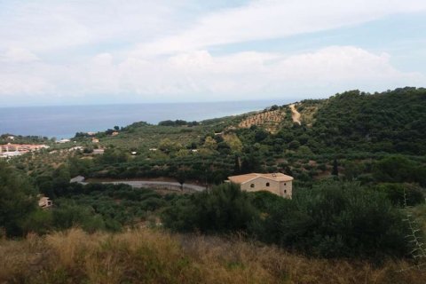 Land in Zakynthos, Greece No. 28075 23