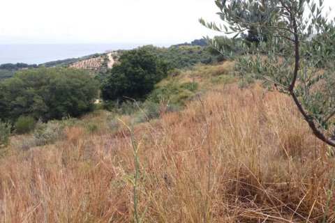 Land in Zakynthos, Greece No. 28075 13