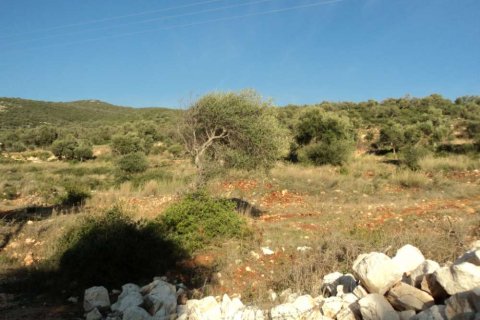 Land in Lefkada, Greece No. 28076 3