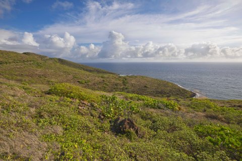 Land en Saint George Basseterre, Saint Kitts and Nevis No. 61463 1