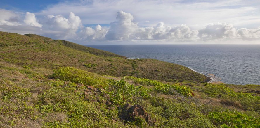 Land à Saint George Basseterre, Saint Kitts and Nevis No. 61463