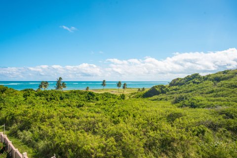 Condominio  en Lucas, Saint Kitts and Nevis No. 61467 19