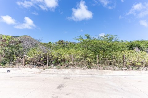 962.85m² Land à Saint George Basseterre, Saint Kitts and Nevis No. 61461 2