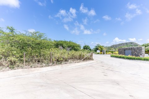 962.85m² Land à Saint George Basseterre, Saint Kitts and Nevis No. 61461 1