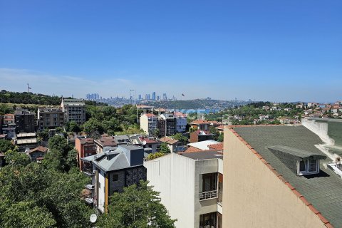 3+1 Apartment in Istanbul, Turkey No. 21623 1