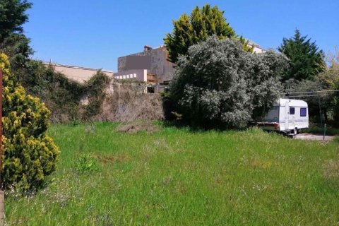 369m² Land en Thasos, Greece No. 54531 2