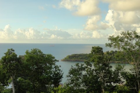 2833m² Land in Five Islands, Antigua and Barbuda No. 64968 11