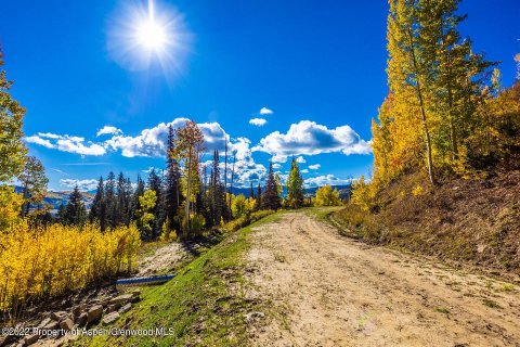 44.64m² Land in Glenwood Springs, USA No. 62160 22