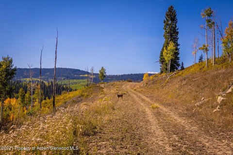 44.64m² Land in Glenwood Springs, USA No. 62160 12