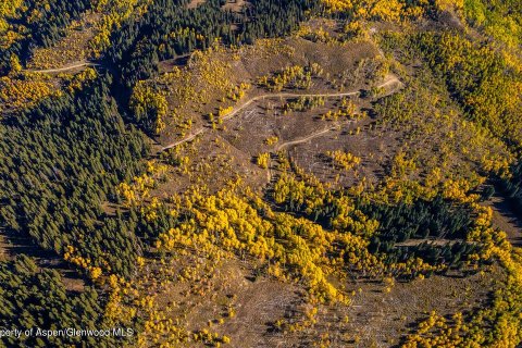 44.64m² Land à Glenwood Springs, USA No. 62160 21