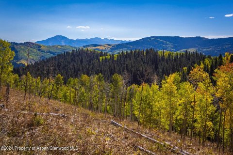 44.64m² Land in Glenwood Springs, USA No. 62160 14