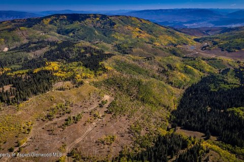 44.64m² Land en Glenwood Springs, USA No. 62160 7