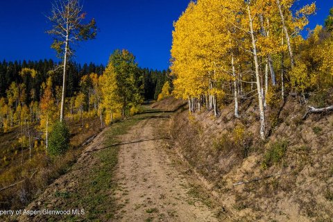 44.64m² Land in Glenwood Springs, USA No. 62160 17