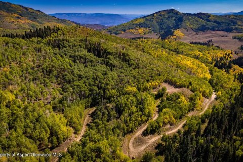 44.64m² Land in Glenwood Springs, USA No. 62160 10