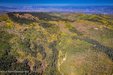 44.64m² Land à Glenwood Springs, USA No. 62160 9