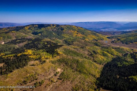 44.64m² Land à Glenwood Springs, USA No. 62160 6