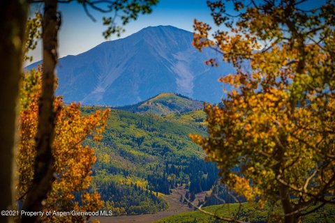 44.64m² Land en Glenwood Springs, USA No. 62160 15