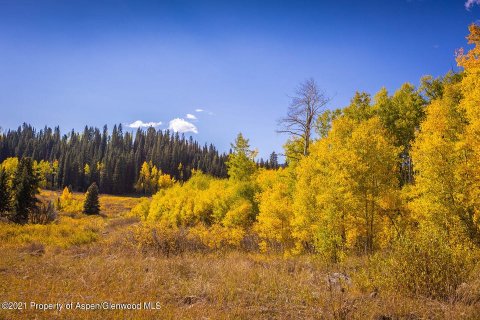 44.64m² Land en Glenwood Springs, USA No. 62160 13