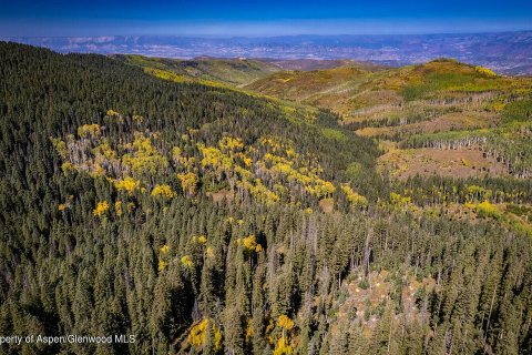 44.64m² Land en Glenwood Springs, USA No. 62160 16