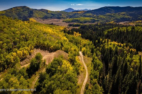 44.64m² Land in Glenwood Springs, USA No. 62160 11