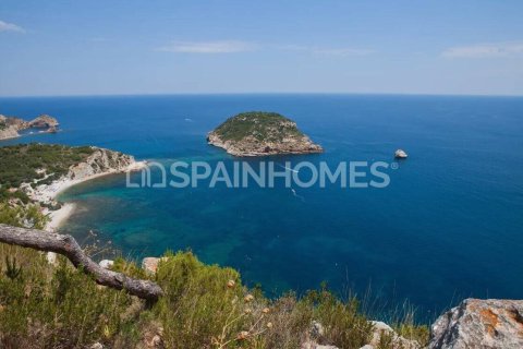 5 bedrooms Villa in Javea, Spain No. 26322 13