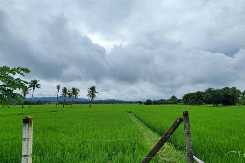 20 dormitorios Land en Chiang Mai, Thailand No. 1295 2