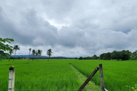 20 dormitorios Land en Chiang Mai, Thailand No. 1295 3