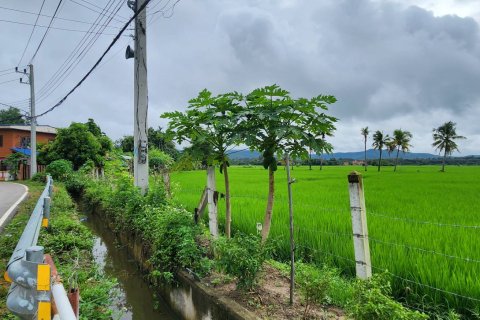 20 dormitorios Land en Chiang Mai, Thailand No. 1295 7